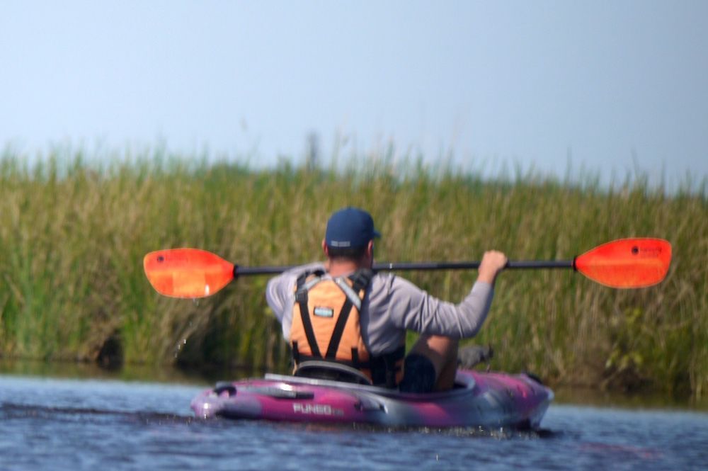 Squirrel on the front of a kayak